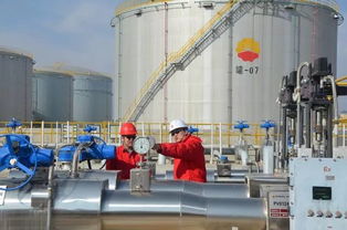 AR技術(shù)在管道線路巡檢中的應(yīng)用與管道安裝技術(shù)咨詢(xún)